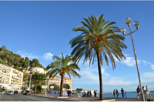 LE CARNAVAL de NICE "ROI DES OCEANS" et la FÊTE des citrons à MENTON 4j