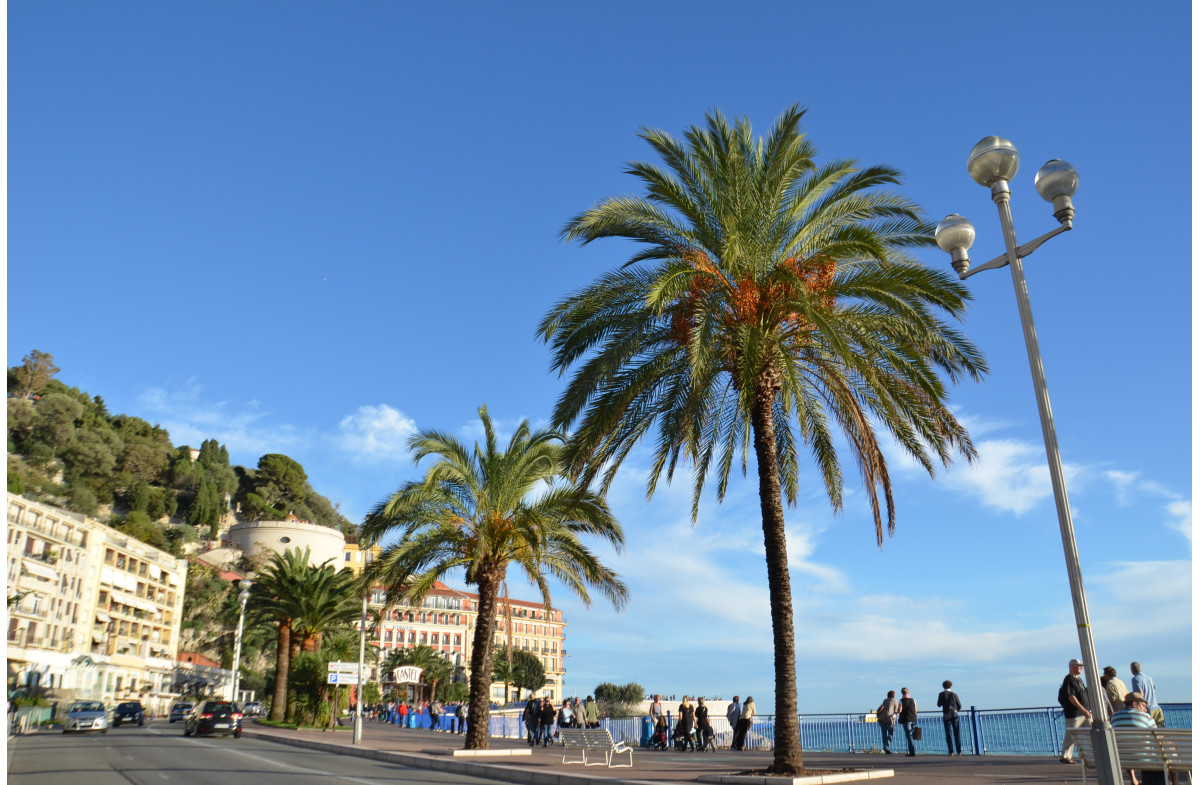 LE CARNAVAL de NICE "ROI DES OCEANS" et la FÊTE des citrons à MENTON 4j