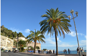 LE CARNAVAL de NICE "ROI DES OCEANS" et la FÊTE des citrons à MENTON 4j