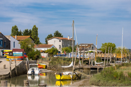 LA FETE DU MIMOSAS à ST TROJAN et l'île D'OLERON