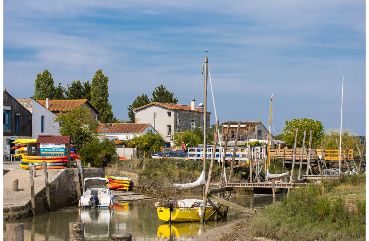 LA FETE DU MIMOSAS à ST TROJAN et l'île D'OLERON