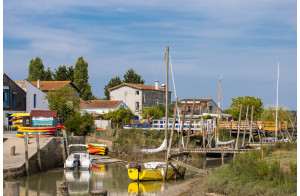 LA FETE DU MIMOSAS à ST TROJAN et l'île D'OLERON