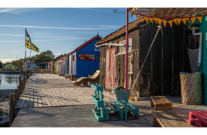 LA FETE DU MIMOSAS à ST TROJAN et l'île D'OLERON