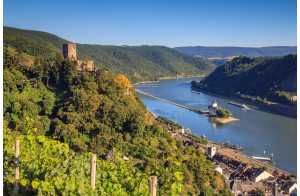 Croisière sur le Rhin et la Moselle