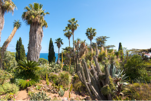 Costa Brava : Tossa de Mar et Masia de Tordera