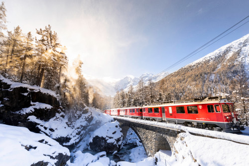 LES TRAINS SUISSES dans les magiques décors de l'hiver