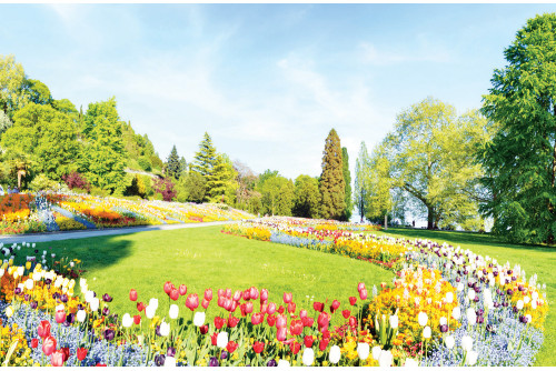 Le lac de Constance  et l’île aux fleurs de Mainau, orchidées et tulipes