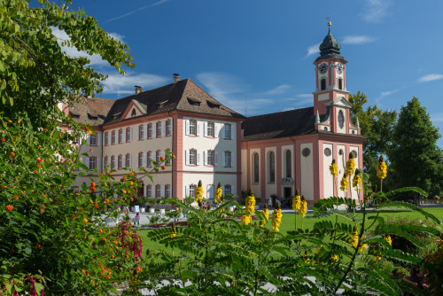 CONSTANCES ET L'ILE AUX FLEURS DE MAINAU, ORCHIDEES ET TULIPES