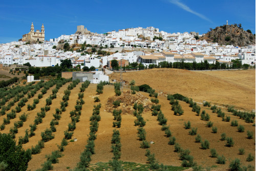 Belles d’Espagne : Castille et Andalousie