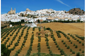 Belles d’Espagne : Castille et Andalousie