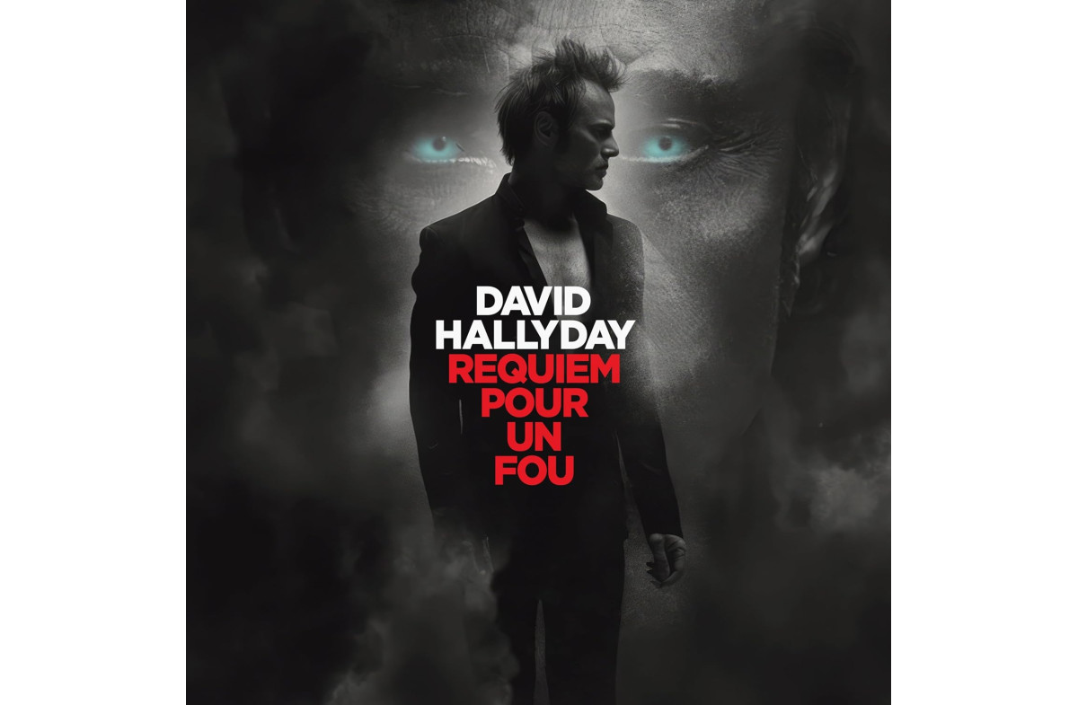 David Hallyday : Requiem pour un fou