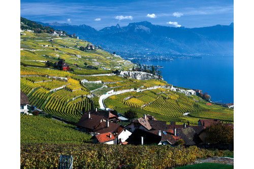 Autour du lac Léman, une surprenante découverte !