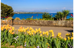 Fleurs en fêtes à Morges  sur le lac Léman et Annecy