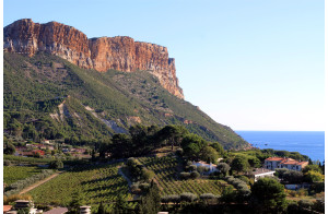 L'île de Porquerolles et les calanques de Cassis