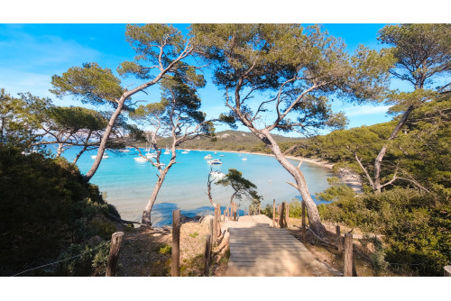 L'île de Porquerolles et les calanques de Cassis