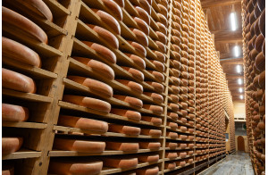 Le Jura aux mille saveurs !