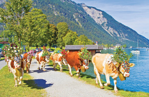 Étonnant Tyrol !