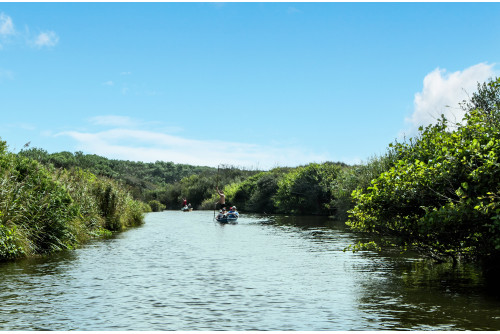 Le Courant d’Huchet " l'Amazonie Landaise "