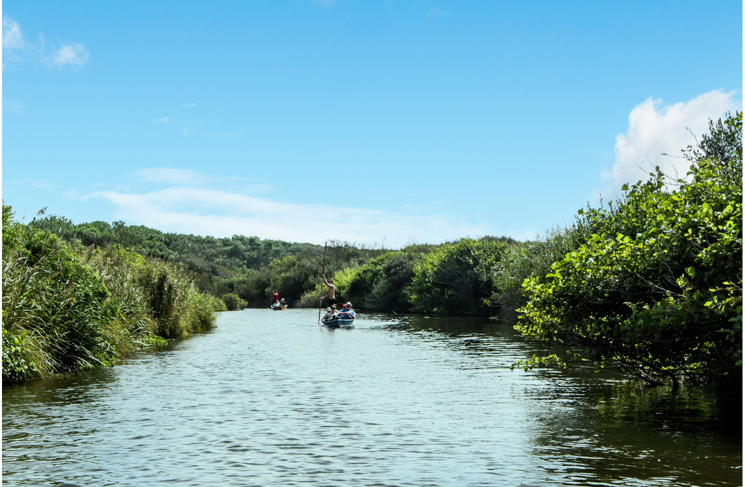 Le Courant d’Huchet " l'Amazonie Landaise "