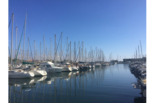 ST CYPRIEN et LE PERTHUS