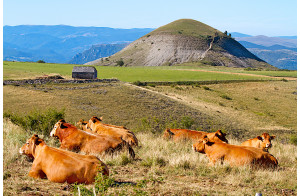 Bondons, Causse Mejean et cave de Roquefort