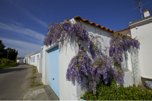 L'Ile d'Yeu, ile de...