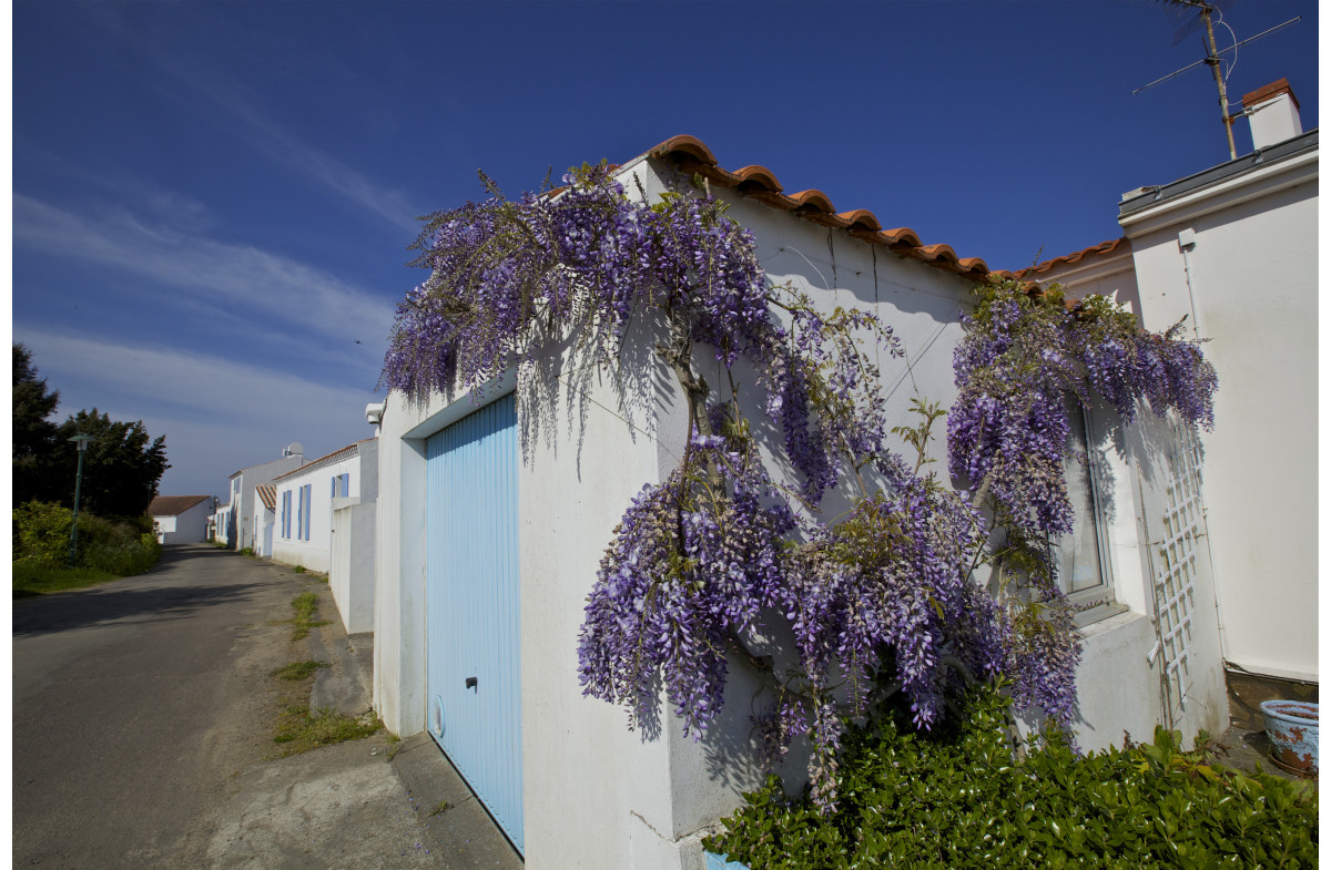 L'Ile d'Yeu, ile de Noirmoutier, marais salant