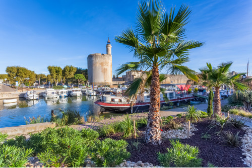 LA CAMARGUE AUTHENTIQUE ET SAUVAGE