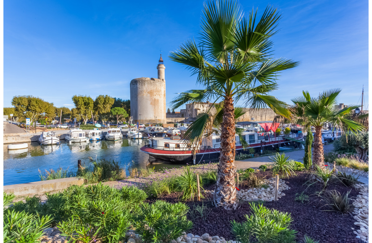 LA CAMARGUE AUTHENTIQUE ET SAUVAGE