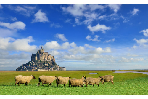 Saint-Malo / Cancale et la baie du Mont-St-Michel