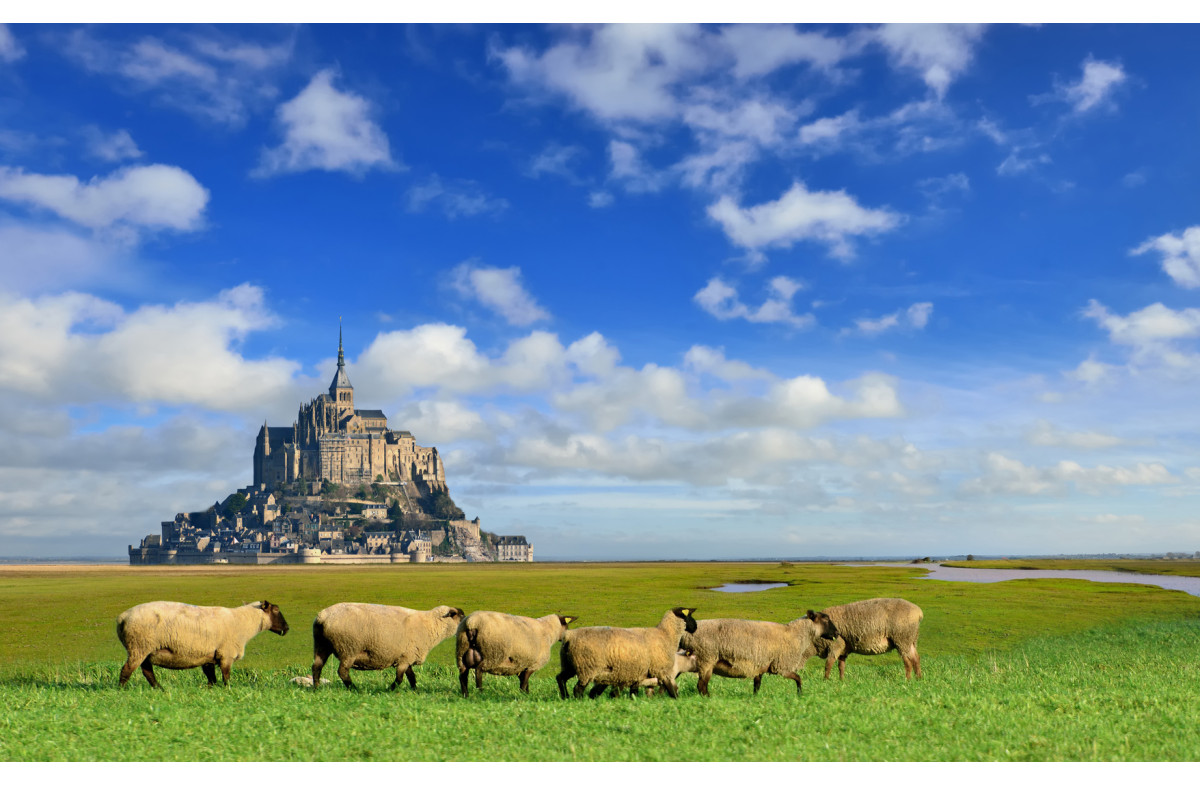 Saint Malo / Cancale et la baie du Mont-St-Michel
