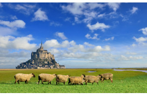 Saint-Malo / Cancale et la baie du Mont-St-Michel