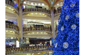 Illuminations de Paris, Notre Dame, Marché de Noël