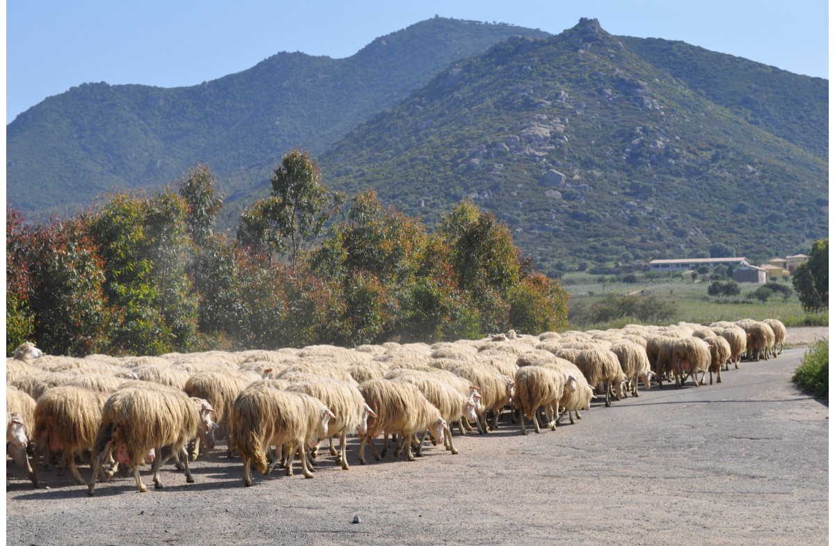Grand Tour De Sardaigne