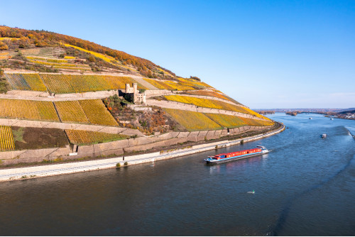 Croisière sur le Rhin et la Moselle