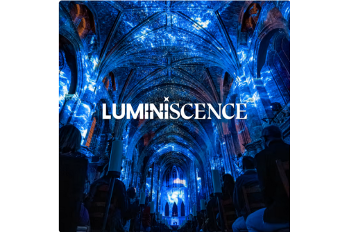 Cathédrale De Bordeaux : Son et Lumière Luminiscence