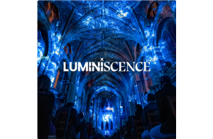 Cathédrale De Bordeaux : Son et Lumière Luminiscence