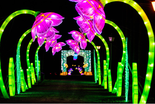 Féerie des Lanternes de Castel Novel (Brive)