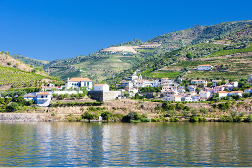 LA VALLEE DU DOURO ET SAINT JACQUES DE COMPOSTELLE