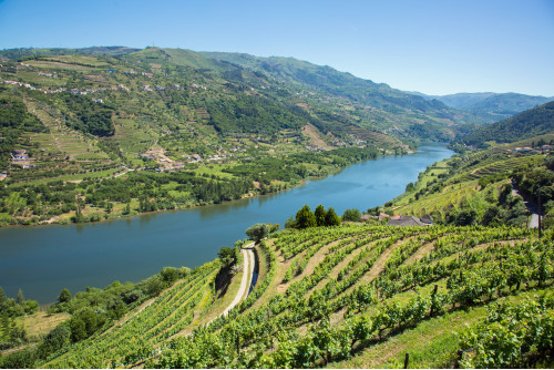 LA VALLEE DU DOURO ET SAINT JACQUES DE COMPOSTELLE