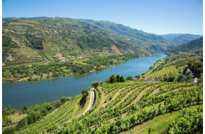 LA VALLEE DU DOURO ET SAINT JACQUES DE COMPOSTELLE
