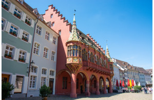 Trésors de l'Allemagne du sud de La Forêt Noire au lac de Constance