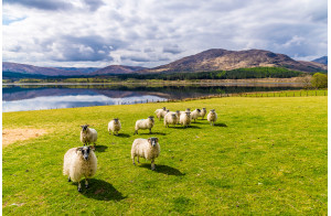 Au fil du Royaume-Uni, Ecosse légendaire et Londres