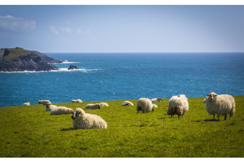 Saveurs et Terroirs d'Irlande : Dublin, le Kerry ....
