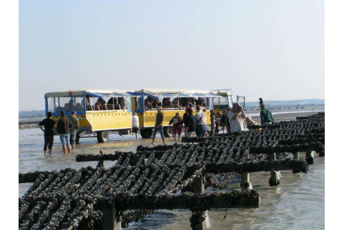 Saint Malo / Cancale et la baie du Mont-St-Michel