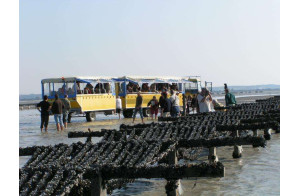 Saint Malo / Cancale et la baie du Mont-St-Michel