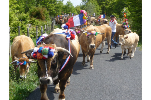 Fête de la Transhumance à...