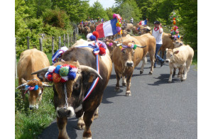 Fête de la Transhumance à Aubrac