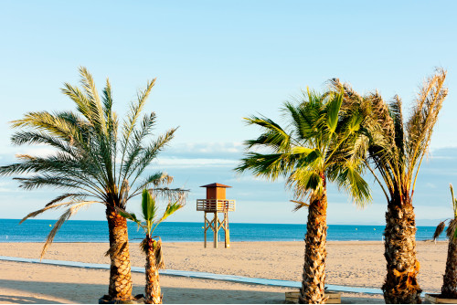 La Cote du Midi Narbonne...