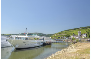 Croisière du coeur de l'Alsace aux sommets des Alpes suisses